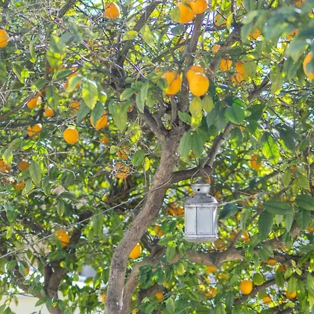 شقة Terra'ciel - Proche Calanques - Piscine *